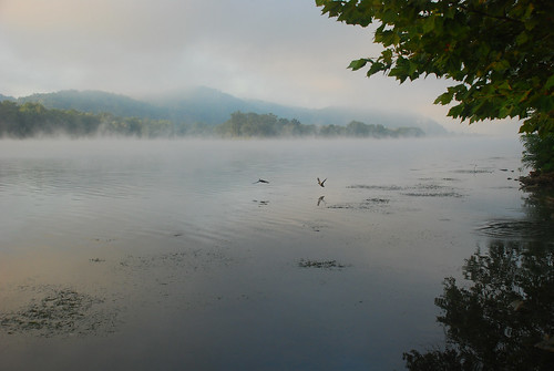 ohio summer sunrise fly foggy aug ohioriver