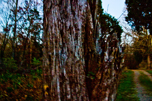 sunset art nature television photography photo video media knoxville outdoor hiking mark walk tennessee creative lewis professional production producer wildlifemanagementarea forksoftheriver wildernessforresttrail