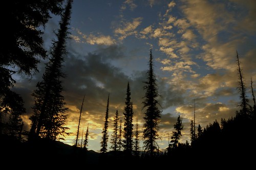 trees sunset canada silhouette clouds nationalpark jasper alberta campground wabasso