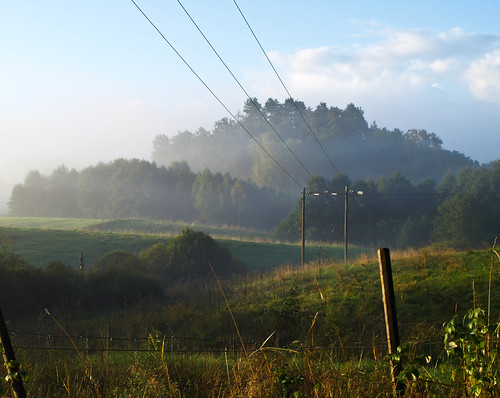 blue trees sky field fog forest sunrise fence landscape wire power sweden foggy line cmwdgreen