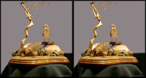 sculpture detail bird art nature stereoscopic stereogram 3d crosseye md gallery brian fine maryland carving indoors stereo wallace inside stereopair sidebyside depth easton stereoscopy stereographic ewf freeview brianwallace xview stereoimage xeye stereopicture crosssview