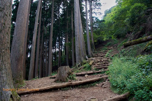 mountain rain japan god buddhism shinto tanzawa myth kami afuri folkreligion kunimiyama ōyama
