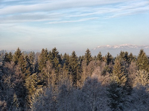winter norway forest landscape norge vinter natur telemark hdr landskap skien exfh100 casioexfh100