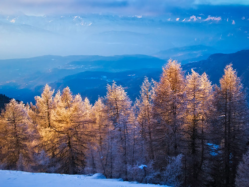winter light snow mountains alps landscape trentino larix panarotta olympusep1 beffythewitch