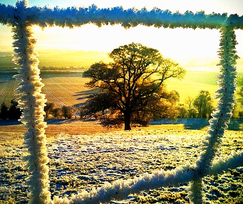 uk winter snow tree ice sunrise landscape frost shropshire shrewsbury iphone lythhill docward iphone3gs