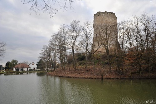 france castle tour keep château 41 burg loiretcher donjon coulommiers