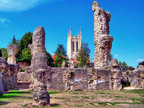 church abbey suffolk ruins cathedral medieval historic crypt middleages chancel burystedmunds dogmarten28