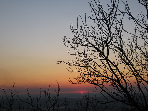 sunset red sky italy sun tree photography