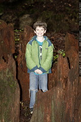nick standing inside a giant redwood tree stump 