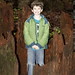 nick standing inside a giant redwood tree stump