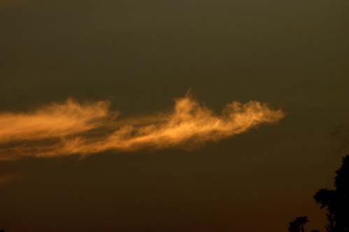 sunset nsw 2010