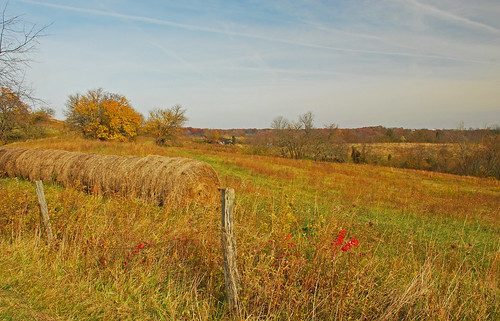 autumn christyroad landscape2010