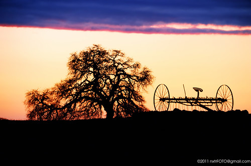 california ca travel blue sunset horse orange usa foothills tree wet rain silhouette northerncalifornia yellow clouds catchycolors soldier photography spring oak nikon cowboy cloudy salute 19thcentury overcast rake handheld wallace horsedrawn nikkor westcoast oaktree calaverascounty lakecomanche ca12 d700 cahighway12 afs28300mm nxtrfoto nextierphotography