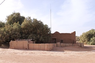The remains of unsustainable desertification management in Tinfu, Morocco - asbestos fencing around the Tree Guardian's house