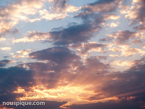 sunset sky usa bird clouds florida winterhaven lakeashton