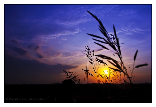 blue sunset sun grass silhouette clouds barn sunrise country iowa