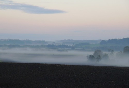 mist landscape hadsten favrskov