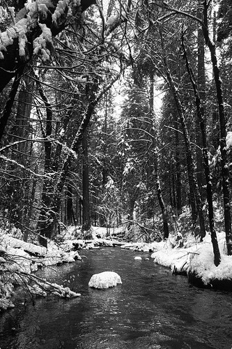 california trees winter blackandwhite snow water river landscape sierras oakhurst highway41 lewiscreek riversandlakestnc11