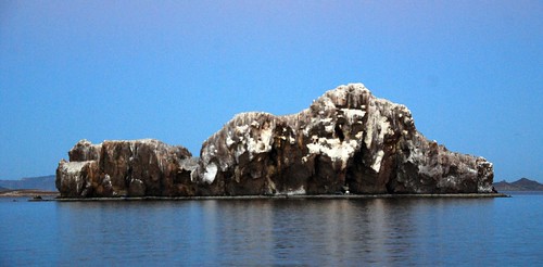 cruise sunset de mexico aves guaymas isla sancarlos mierda