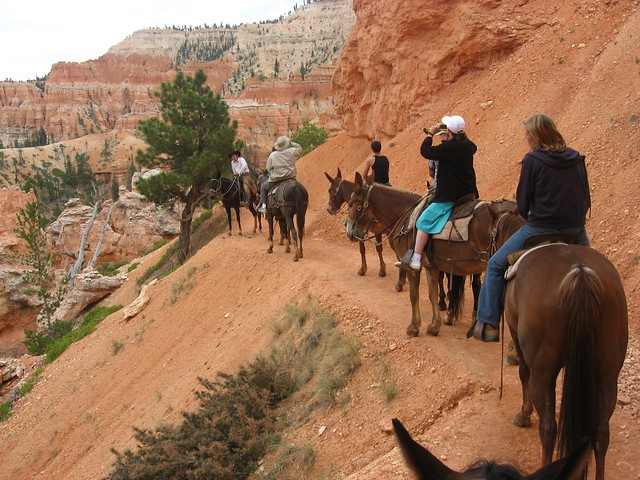 Horse riding through Bryce Canyon