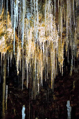 sex composition nikon sexo limestone cave languedoc stalactite cueva hérault d300 composición macarroni caliza estalactita clamouse eduardoarias languedocrosellón laclamouse calcareus eduardoariasrábanos