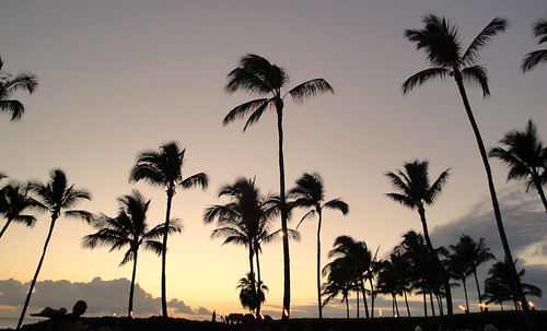 travel trees sunset vacation sky island maui palmtrees luau cropped 500views picnik wailea grandwailea 2011 grandwailearesortspa