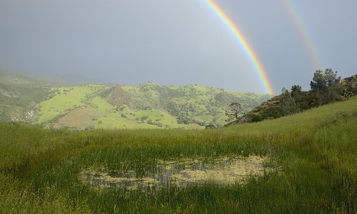 california tree clouds rainbow pond oak tarn oaktree grasslands figueroamountain lospadresnationalforest happycanyonroad serpentinesoil dsc1517c