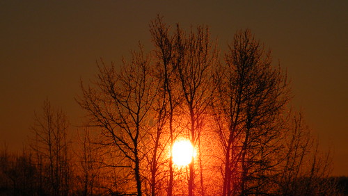 morning red sky orange sun moon tree wheel truck sunrise early rise