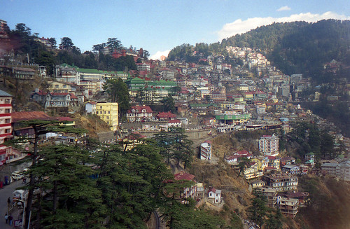 houses india buildings shimla mountainside himachalpradesh