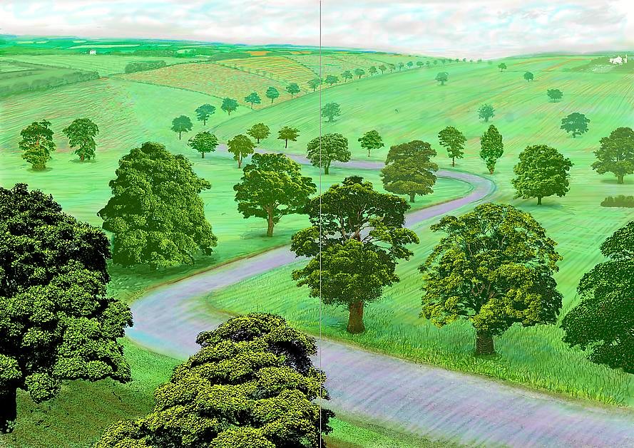 A Bigger Green Valley, 2008, Inkjet printed computer drawing on two sheets of paper, 154.31 x 217.17 cm