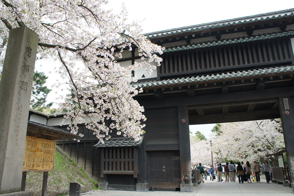 Hirosaki castle in cherry blossom festival season