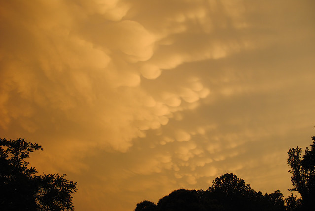 Mamutus Clouds - Learn about CoCoRaHS which are Citizen Scientist rain reporting stations from the Virginia Master Naturalists at Smith Mountain Lake State Park Virginia