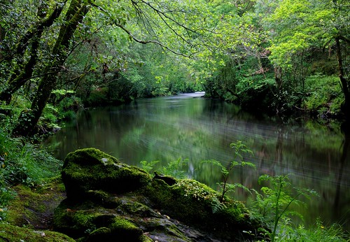 españa forest river spain nikon galicia fluss wald spanien betanzos galicien d80 nikond80 eyecandi riomandeo roberthawke robhawke