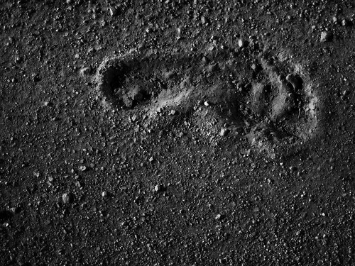 copyright mud dirt footprint allrightsreserved williamsonroad legacylens omzuiko50mm114 omm43adapter ©daveelmore