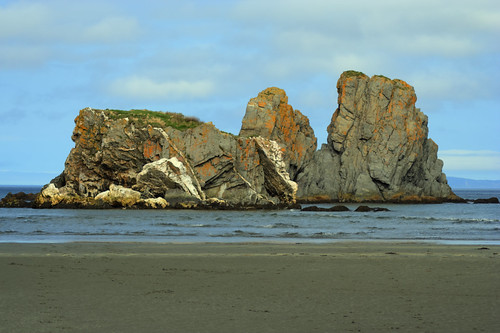ocean sea bird beach newfoundland sand rocks nest cove salmon hdr