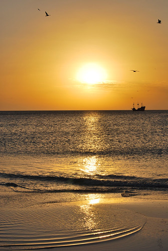 ocean sunset sea bird beach photography ship gulf tide low derek pirate clearwater allnaturesparadise liceks