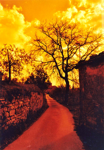 road red italy tree scale yellow wall lomography italia pentax path country toscana loro arezzo analogic lorociuffenna redscale ciuffenna gropina