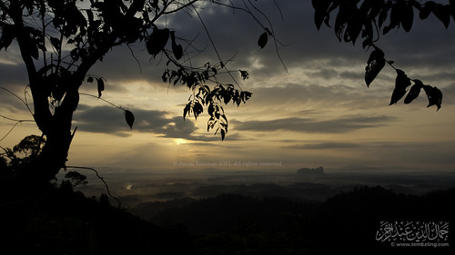 mist sunrise foliage malaysia pahang charas sillhoute sungailembing bukitpanorama