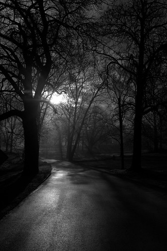 park county trees white black sunrise lancaster