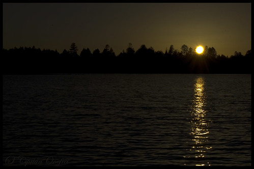 wood sunset sun water dark waves wildlife shore 1855mm apa lumina apus noapte soare peisaj valuri tarziu nikond40 intuneric colourartaward goldstaraward