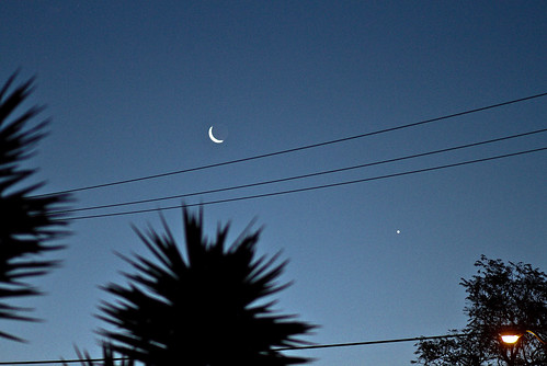 california morning blue sky urban star streetlamp crescent moonrise planet ventura 2753 85mmf18 presunrise