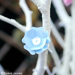 Paper Blue flowers on my Easter Tree