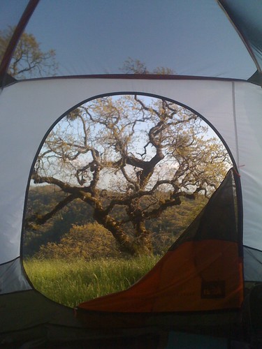 statepark camping tree oak tent april rei frontdoor iphone henrywcoe 2011 basecamp6