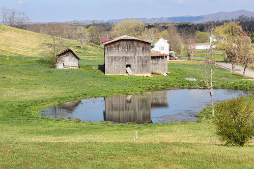 barn rural pond farm tennessee greenecounty