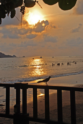 sunset sky sun sol beach birds méxico clouds atardecer playa aves cielo nubes ixtapa guerrero supershot abigfave flickrdiamond octaviobj ringexcellence