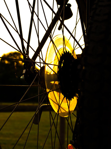 light sunset sun bicycle wheel spider bokeh web tire