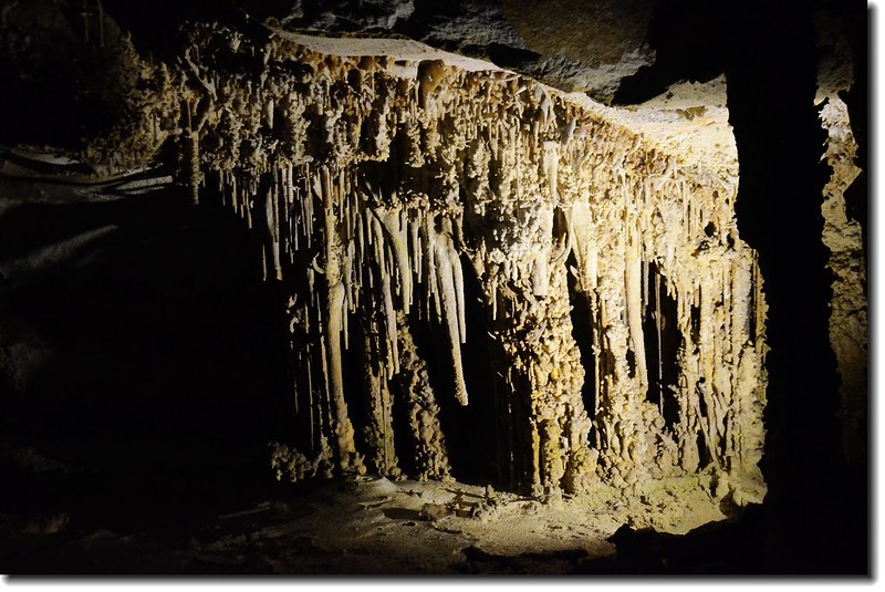 Stalagmites in Lehman Caves 4