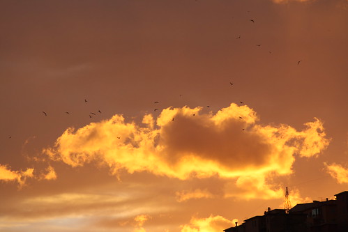 sky clouds sunrise italia tramonto nuvole genova cielo campi