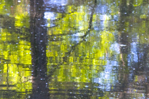 abstract distanthillgardens impressionism impressionistic nature pond reflection reflectionoftrees reflectiononwater trees water zen