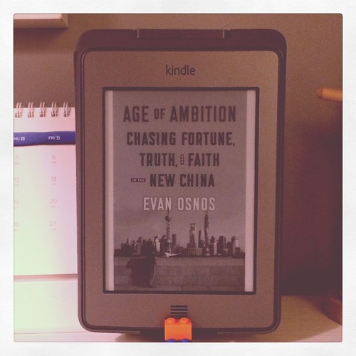 Age of Ambition
